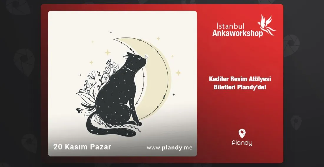 Kediler Resim Atölyesi