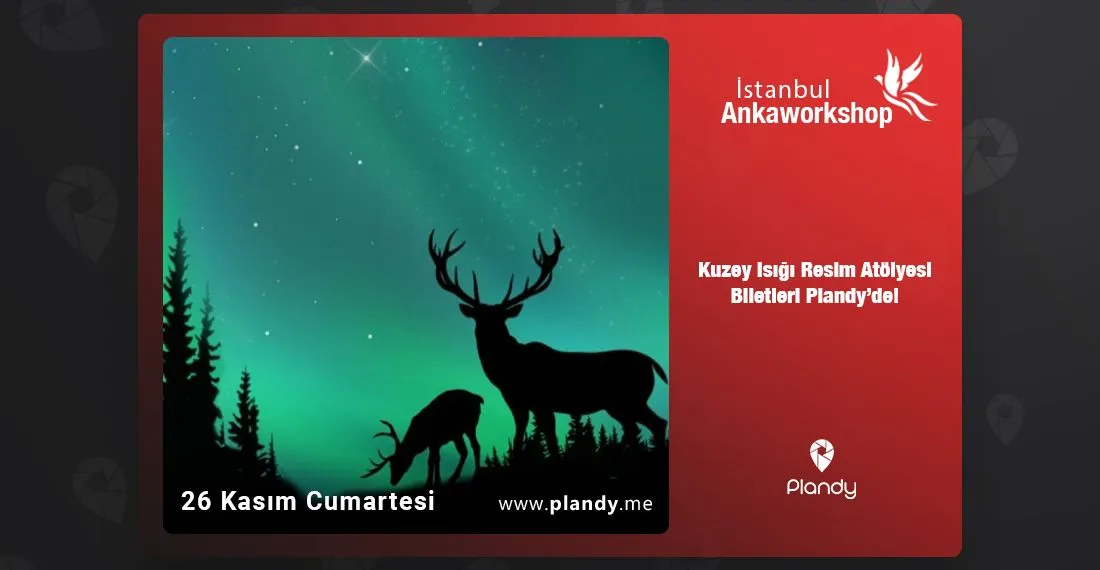 Kuzey Işığı Resim Atölyesi