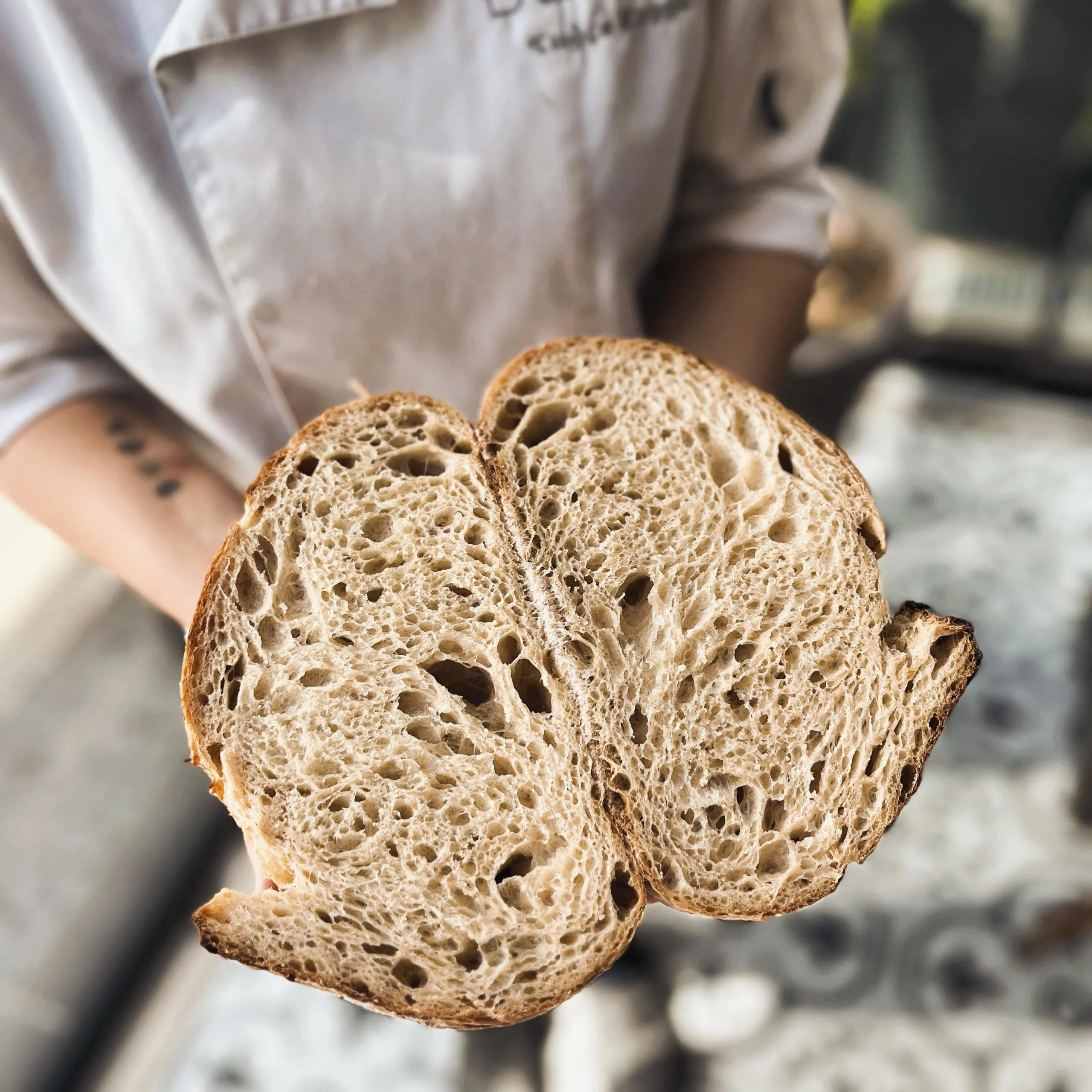 Mine Darıcı ile Ekşi Maya ve Ekmek Eğitimi