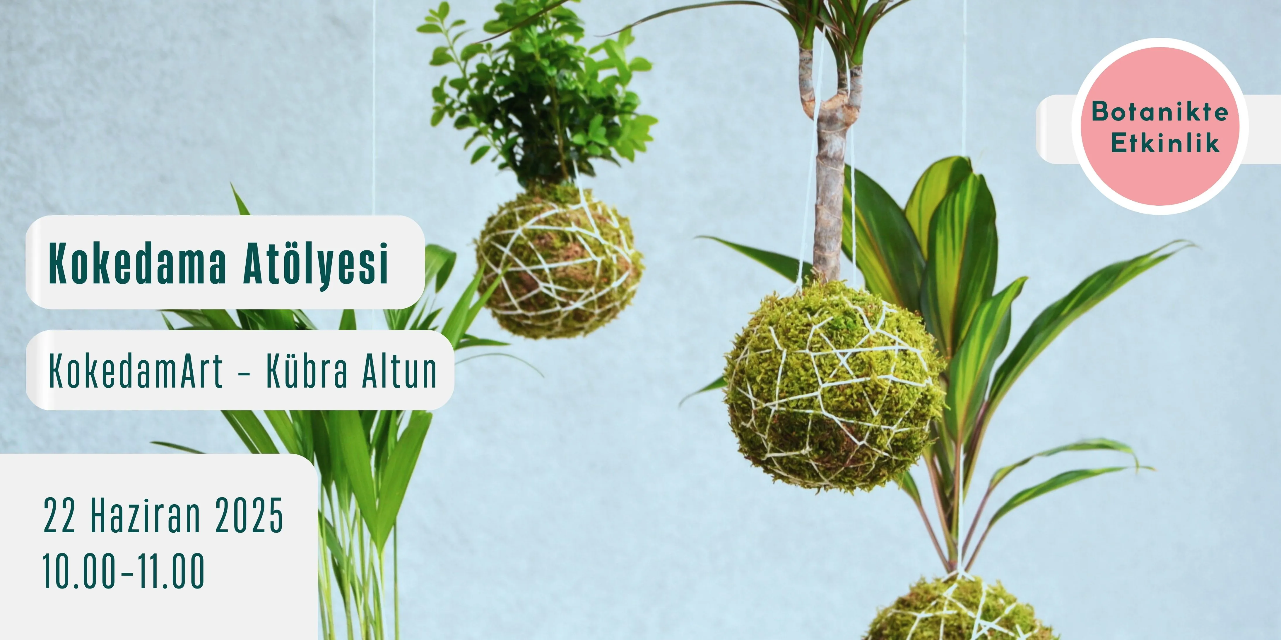Kokedama Atölyesi