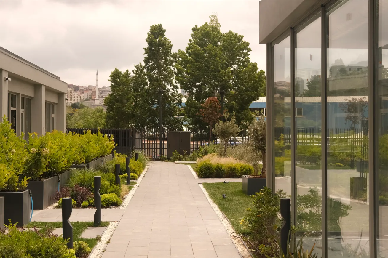 Assembly A Lokal - cover