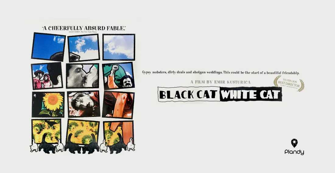 Black Cat White Cat - İçkili Sinema