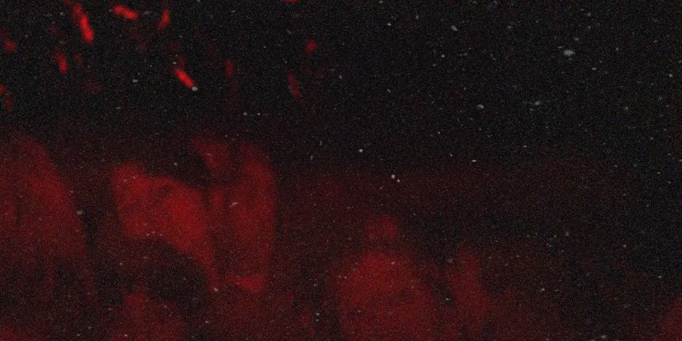 Shawty Organization  - cover