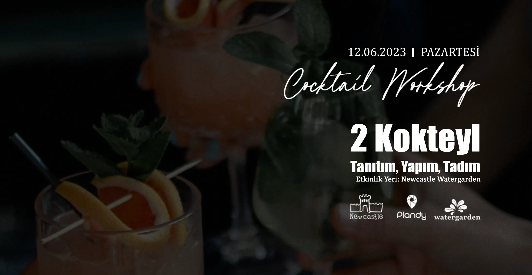 Newcastle Cocktail Workshop / 12 Haz