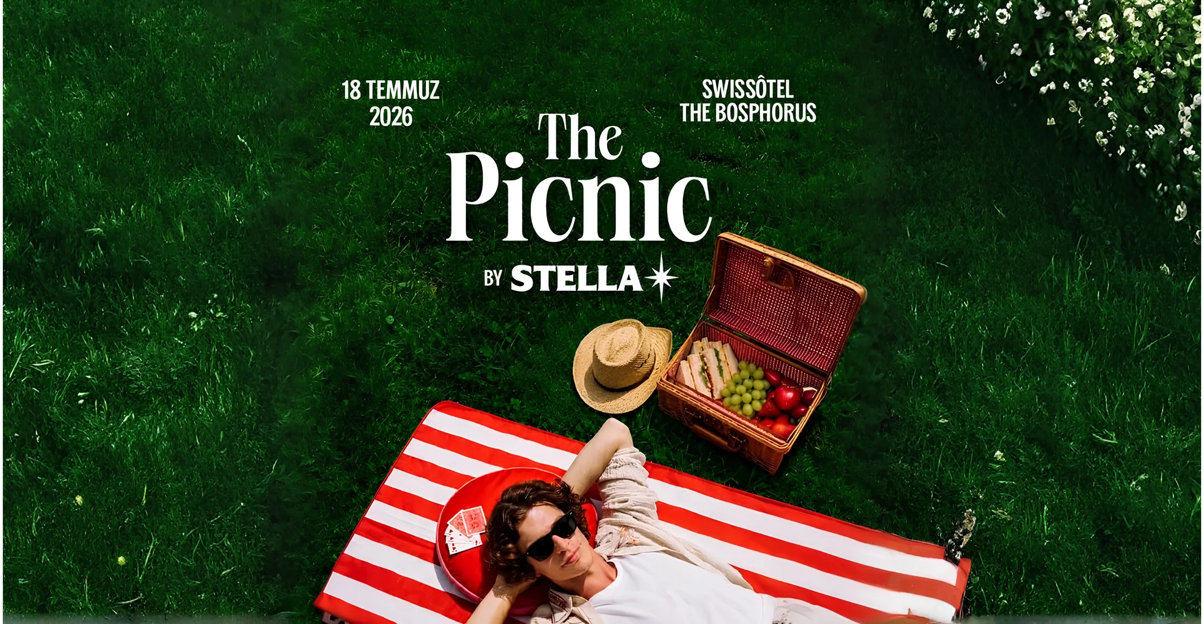 The Picnic by Stella