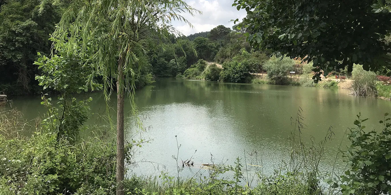 Atatürk Kent Ormanı - cover