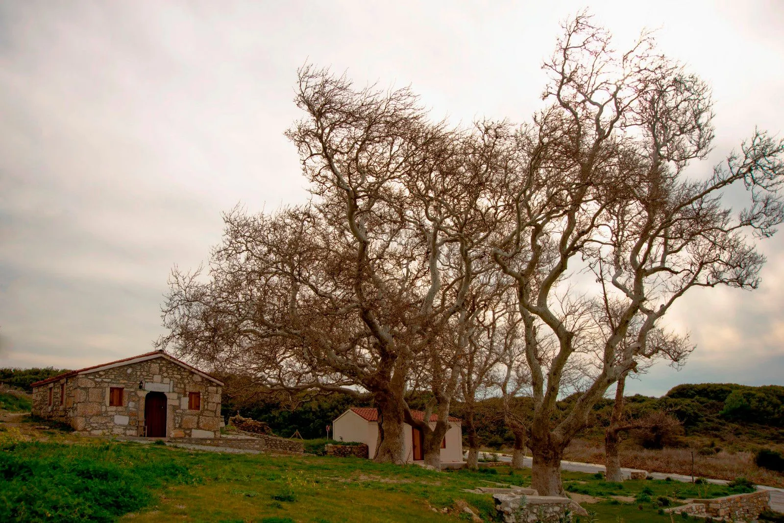 Ayazma Manastırı - cover