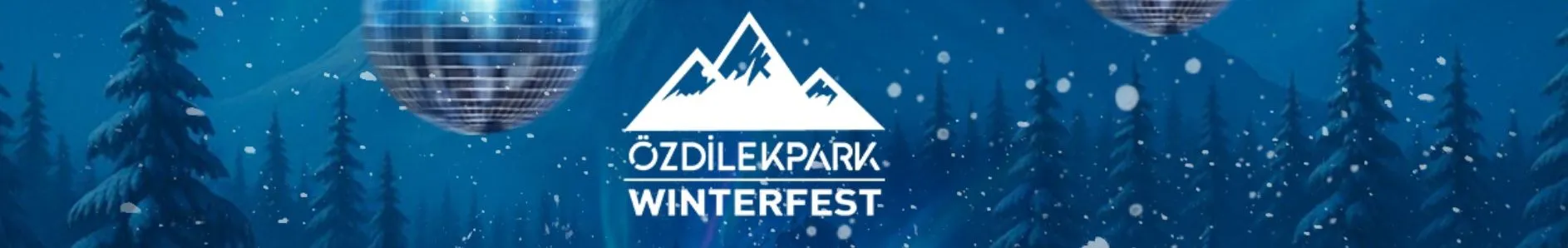 Winterfest - cover