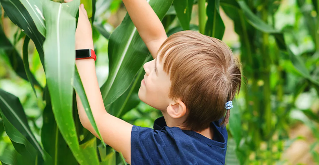 Doğa ve Permakültür Atölyesi