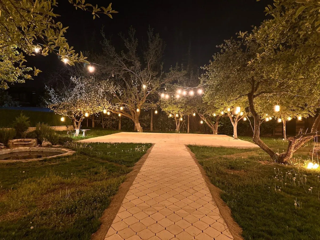 Endemik Ankara - cover