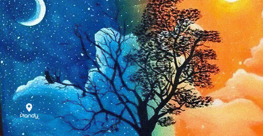 Gece Gündüz Resim Atölyesi