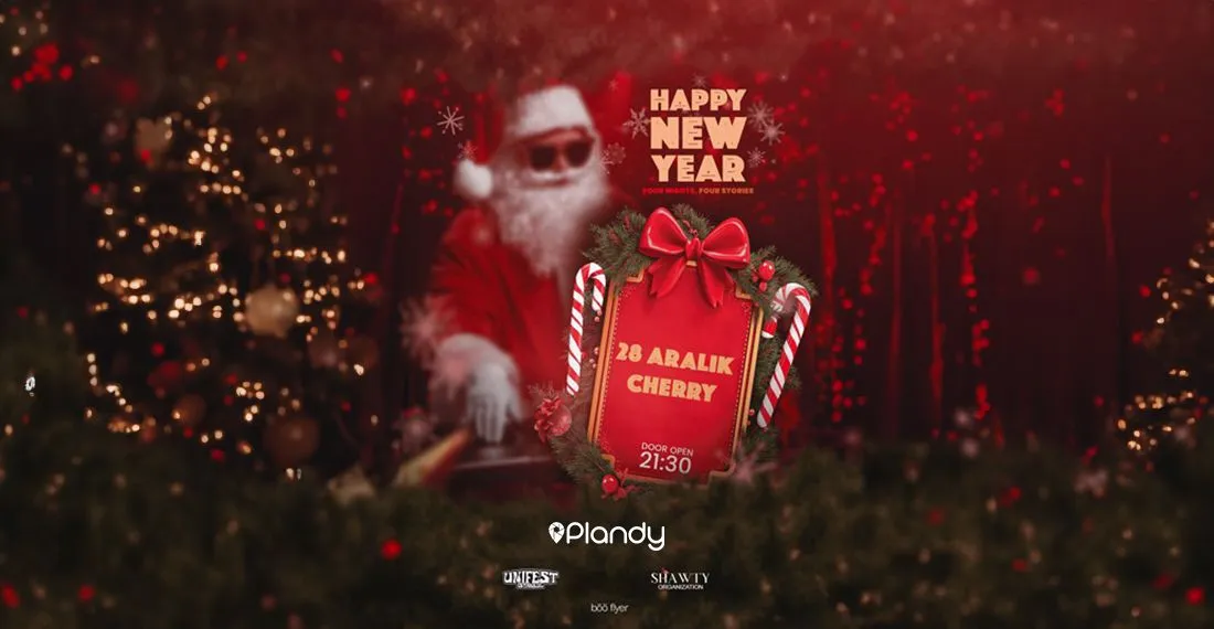 Happy New Year: Three Nights, Three Stories / 2. Gece