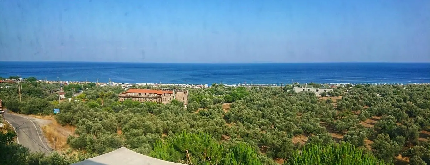 Judith Terrace - cover