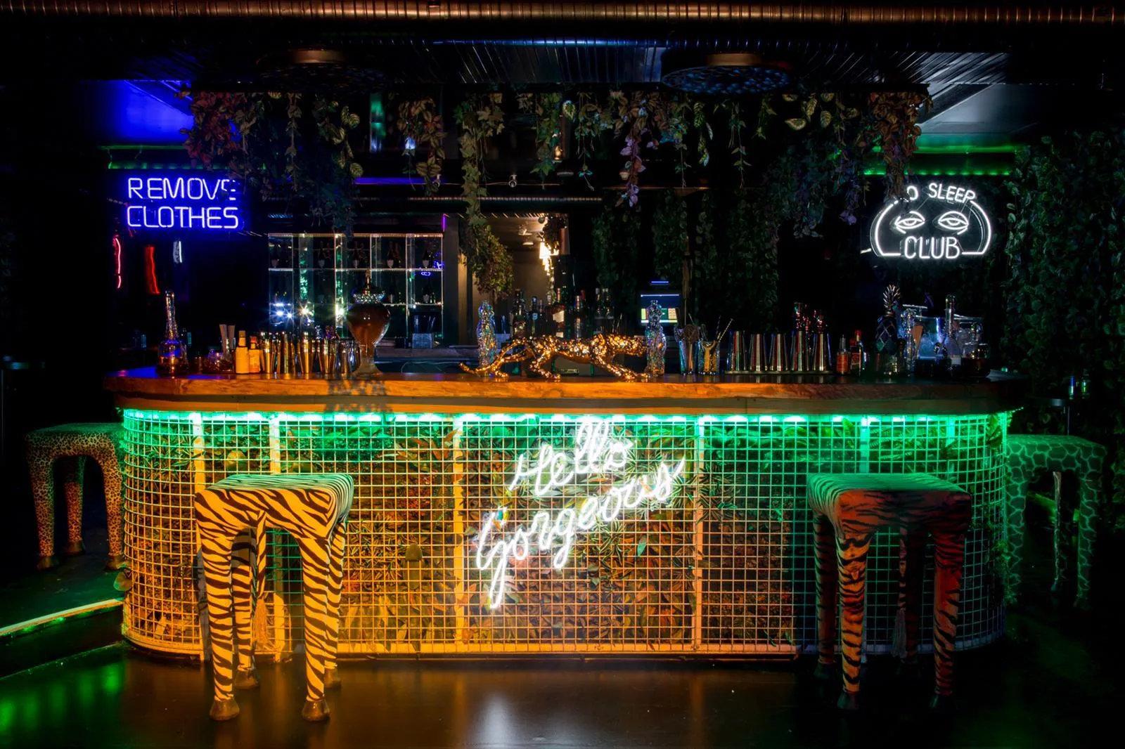 Jungle 8 İstanbul - cover