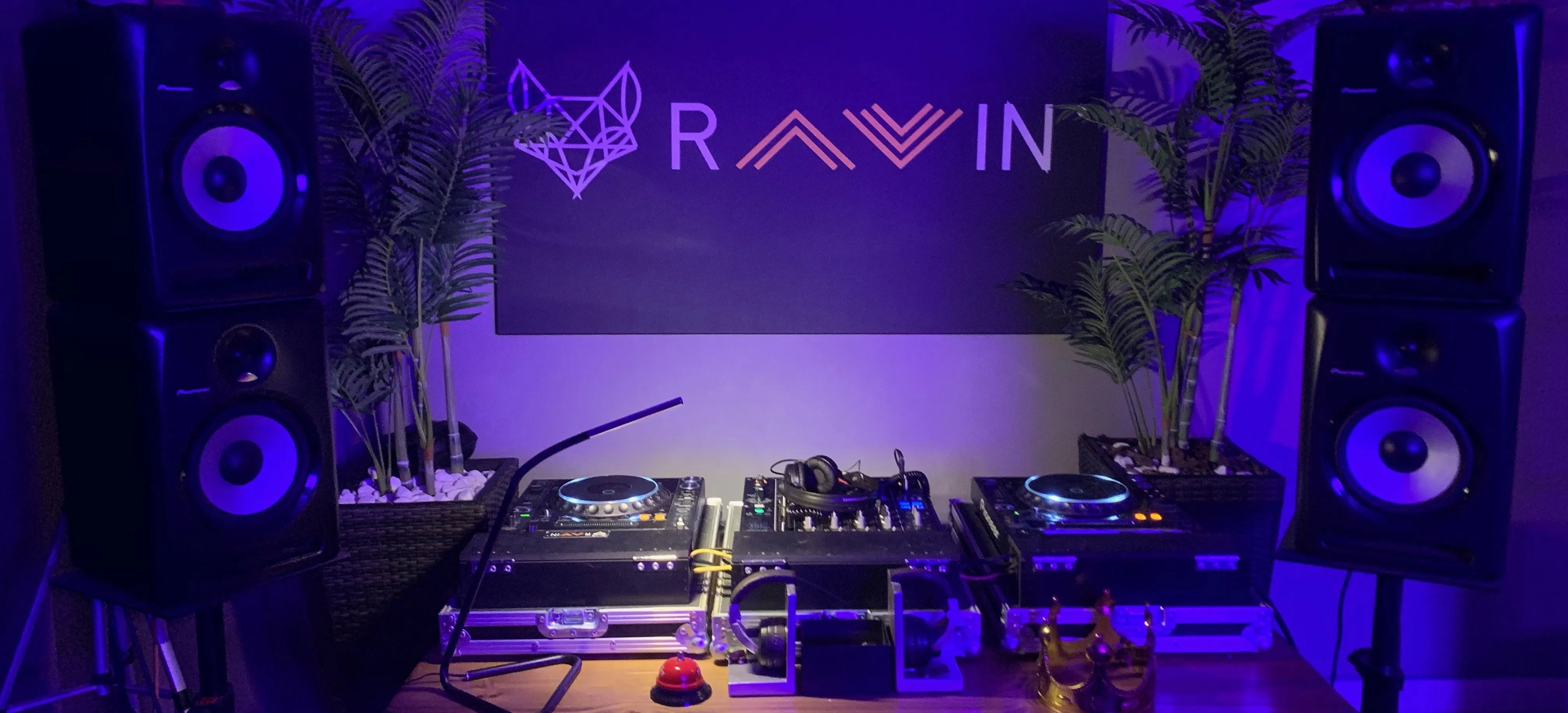 Ravin - cover