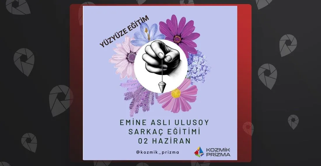 Emine Aslı Ulusoy Sarkaç Eğitimi