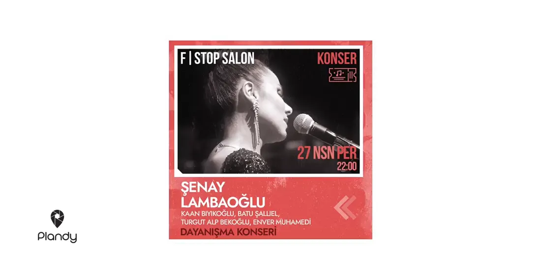 Şenay Lambaoğlu Dayanışma Konseri