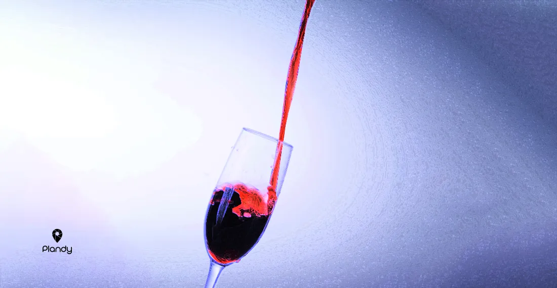 Wine Resim Atölyesi